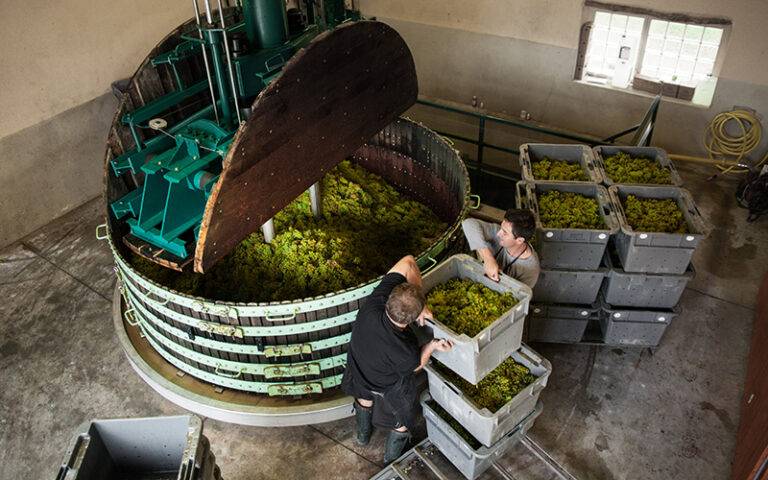 The grape press at Champagne Barrat-Masson