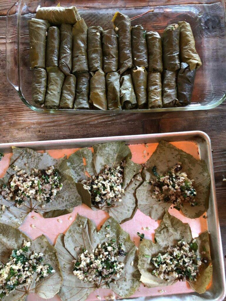 RECIPE: Mediterranean Stuffed Grape Leaves