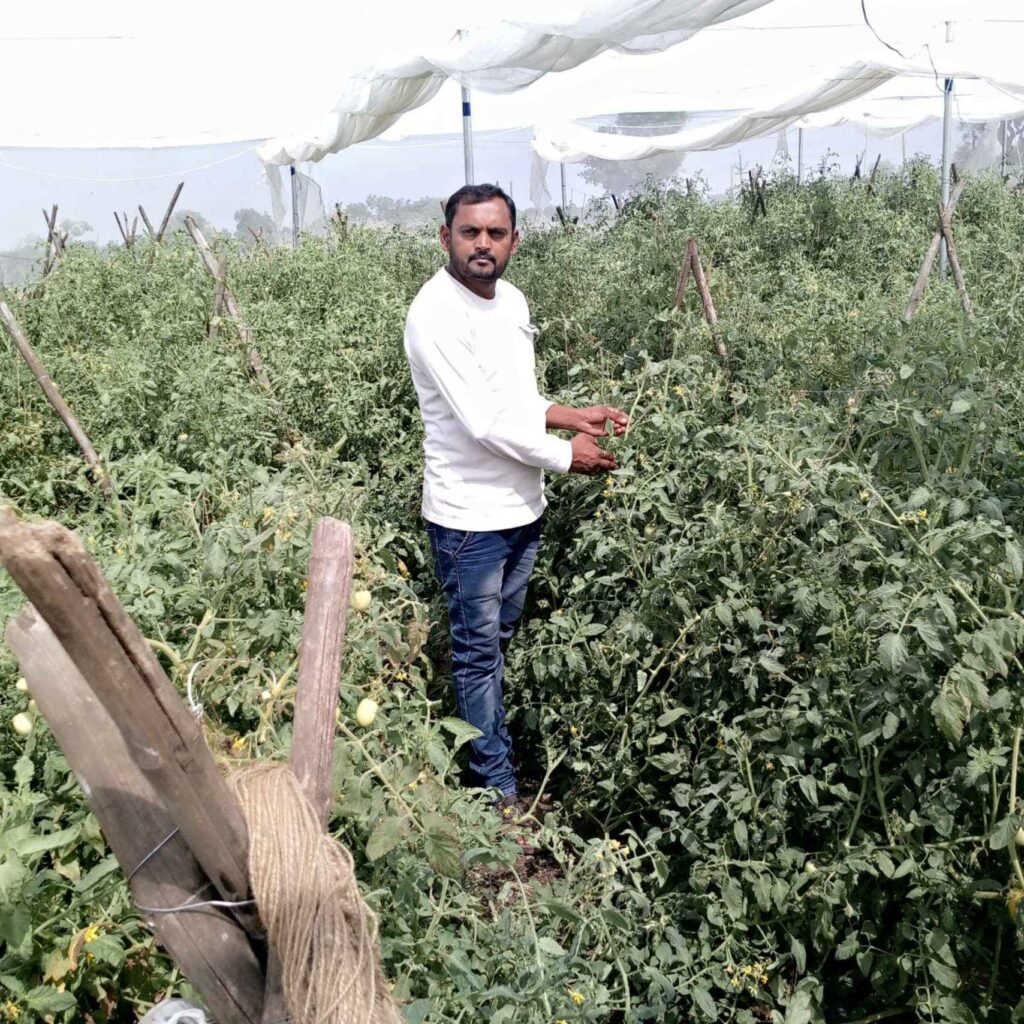 man standing with plants in greenhouse