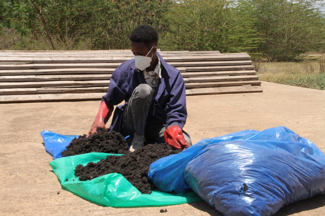 young man sorts out waste hair on plastic tarp