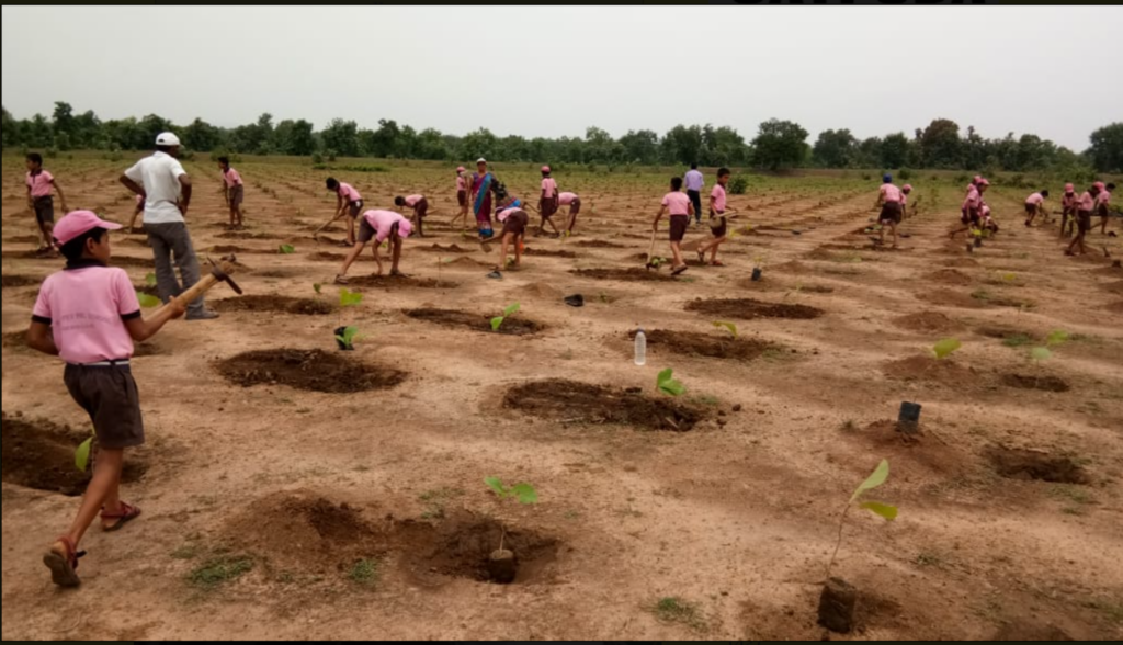 Members work together in a field to plant a buffer zone.